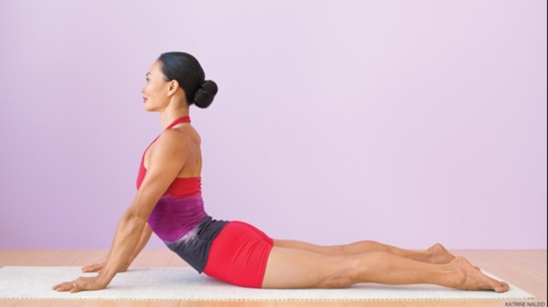 Yoga cho người mới giúp tăng sự linh hoạt, cải thiện tư thế, hỗ trợ sức mạnh cơ lõi và giảm căng cứng cơ thể. 