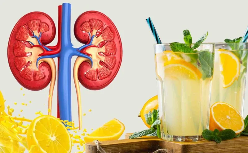 Chất citrate trong nước chanh có khả năng ức chế sự kết tinh và ngăn ngừa hình thành sỏi thận hiệu quả.