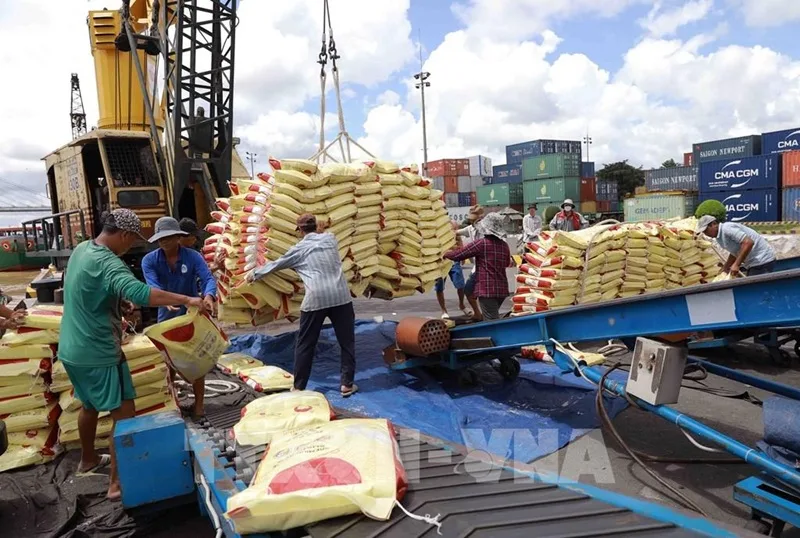 Gạo Việt Nam thăng hoa trên đấu trường quốc tế nhờ chất lượng và giá trị xuất khẩu cao.