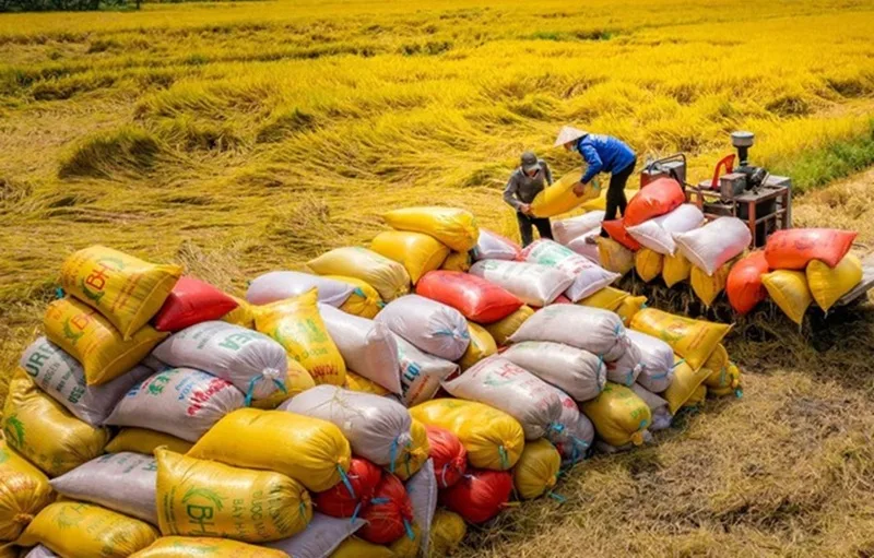 Mô hình kinh tế nông nghiệp bài bản được cập nhật liên tục trên các chuyên mục tin tức.
