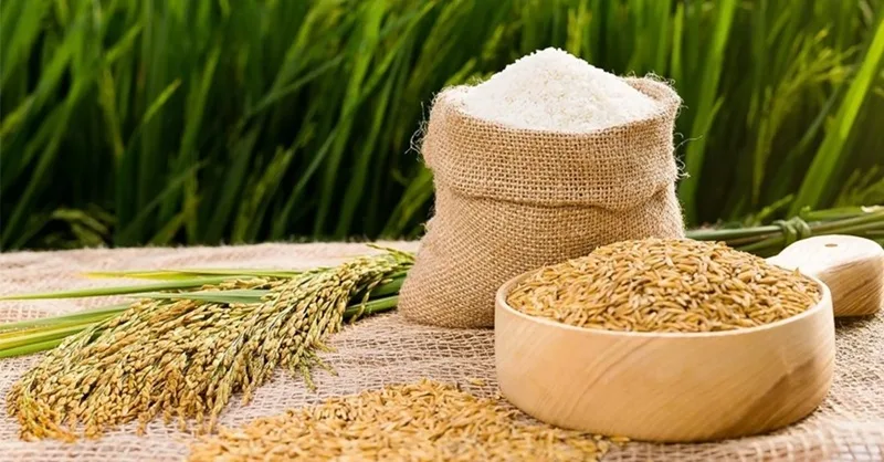 Nhu cầu tích trữ lương thực cuối năm dự kiến sẽ tác động đến xu hướng giá gạo tương lai.