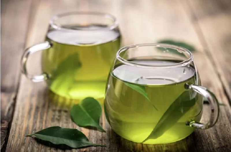 Các hợp chất Polyphenol và Flavonoid trong lá vối có khả năng chống oxy hóa mạnh mẽ.