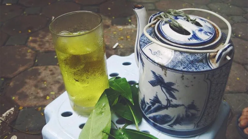 Chất chát (Tannin) trong lá vối hoạt động như kháng sinh tự nhiên giúp bảo vệ đường ruột.