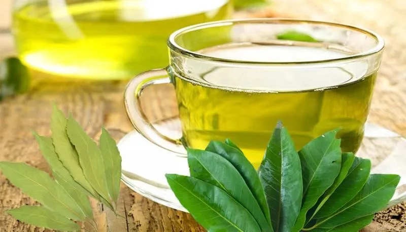 Nước lá vối – thức uống dân gian đang trở thành xu hướng sống xanh của người hiện đại.