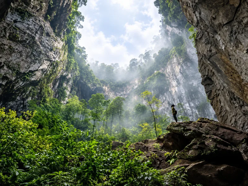 Hệ sinh thái Sơn Đoòng nổi bật bởi sự chuyển tiếp giữa rừng nhiệt đới, vùng có ánh sáng và môi trường hang tối.